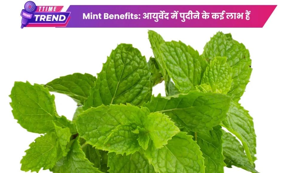 Mint Benefits आयुर्वेद में पुदीने के कई लाभ हैं