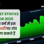 9 Best Stocks for 2025 नव वर्ष में इन 9 शेयरों पर दांव लगा सकते हैं